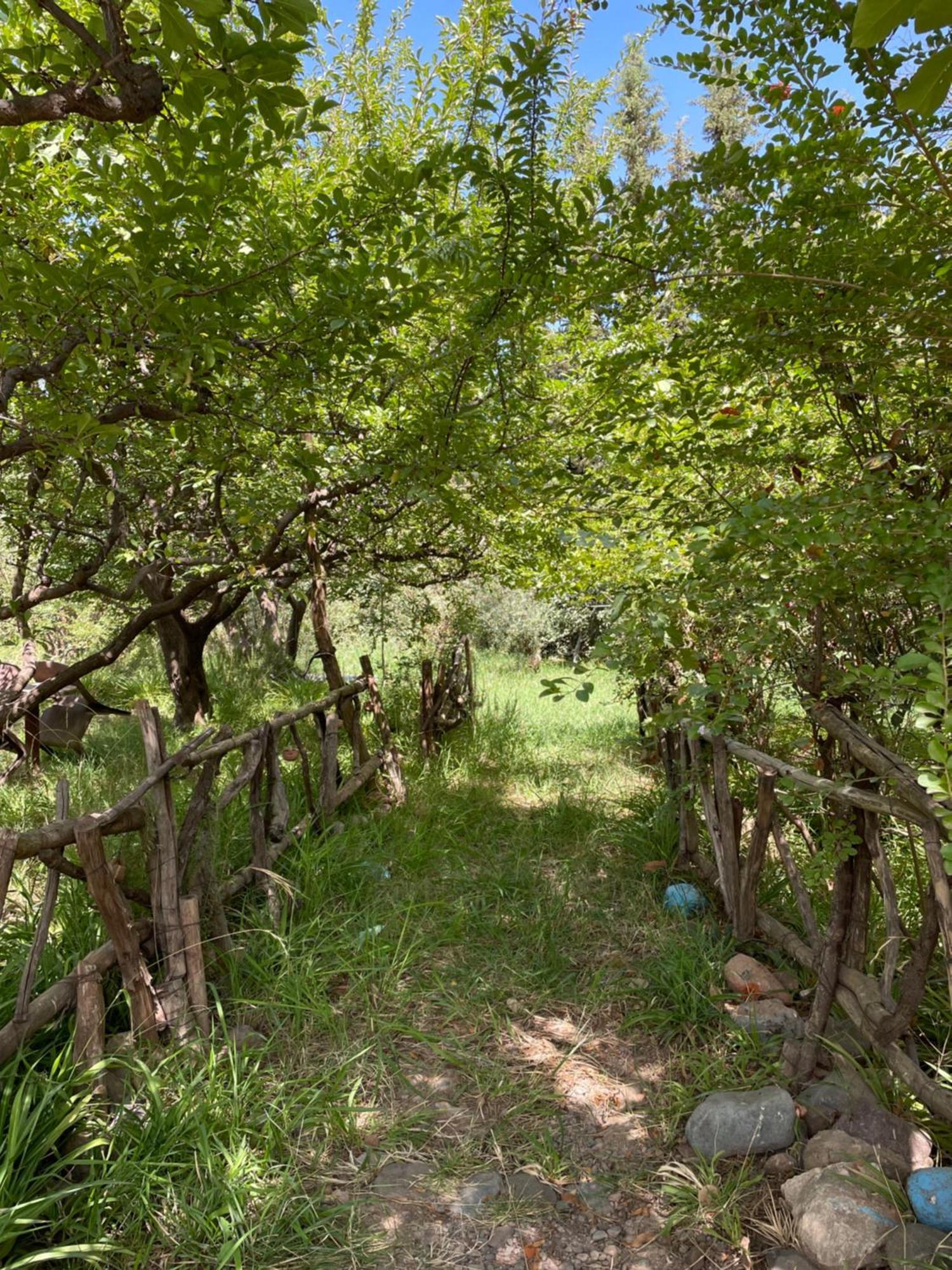 Villa De L'Atlas Tagadirt Экстерьер фото