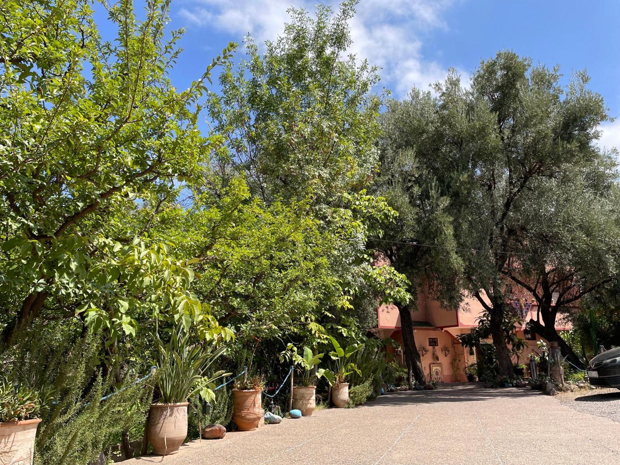 Villa De L'Atlas Tagadirt Экстерьер фото